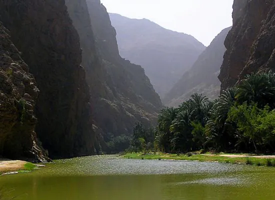 wadi tiwi